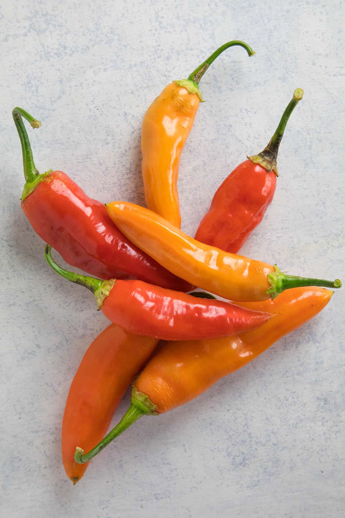 A collection of Aji Amarillo Chili Peppers