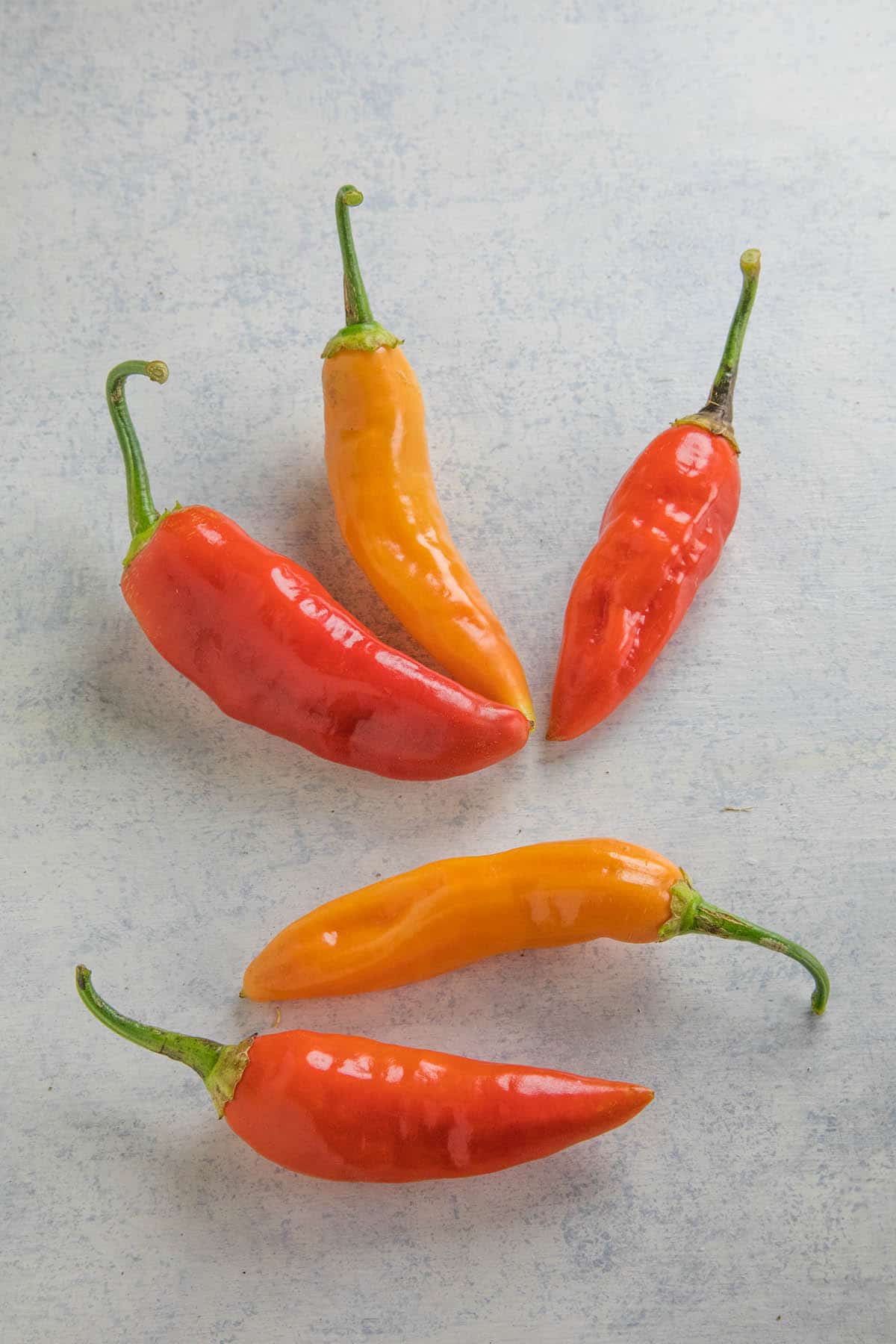A collection of Aji Cristal Chili Peppers
