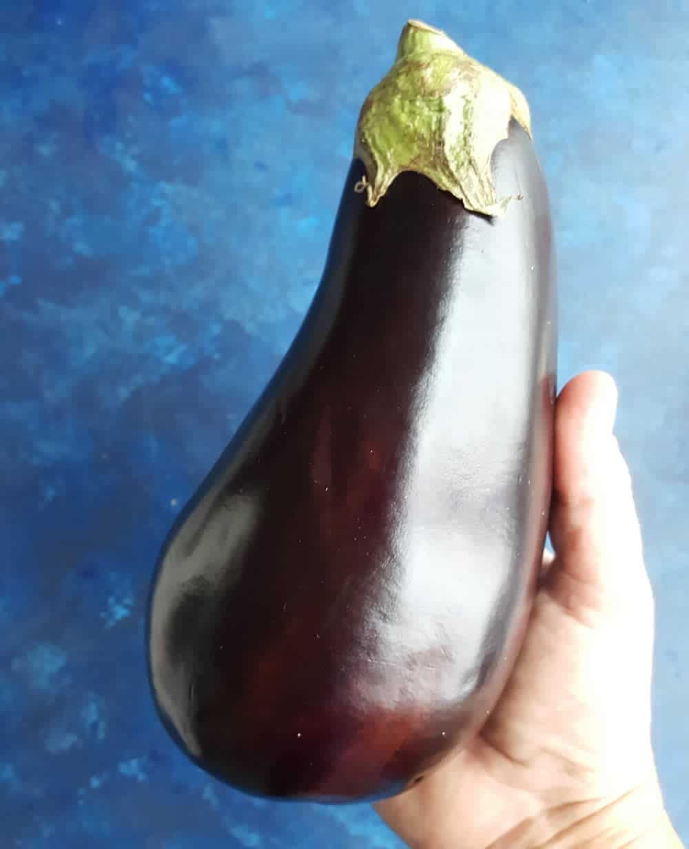 Holding an eggplant