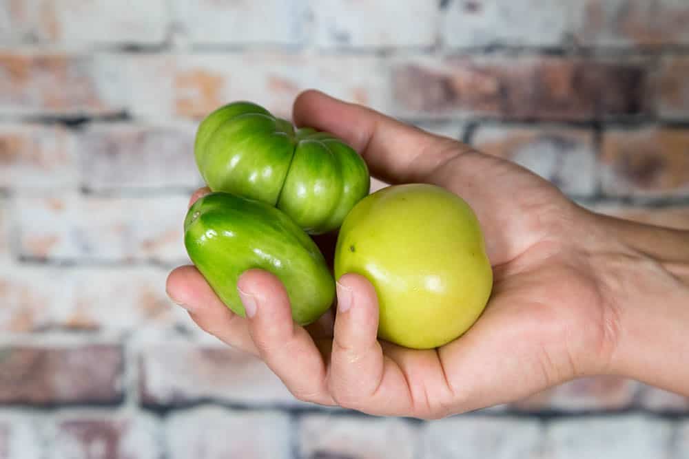 Green Tomatoes