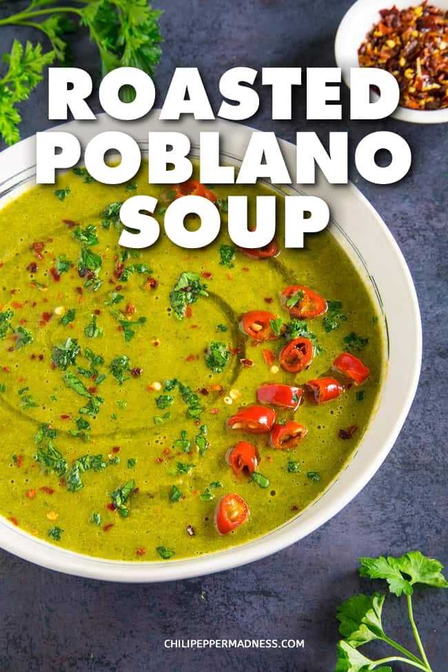 Roasted Poblano Soup - A recipe for earthy poblano peppers, roasted and peeled, simmered with onion, celery, carrots and spinach with the perfect seasoning blend, then pureed for a wonderfully creamy soup. Break out the bowls! #Soup #Poblanos