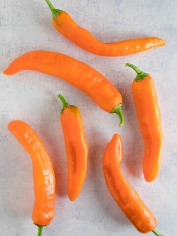 Corno di Toro Chili Peppers - Orange Variety