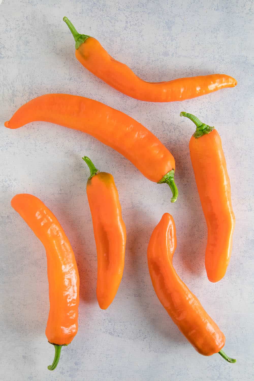 Corno di Toro Chili Peppers - Orange Variety