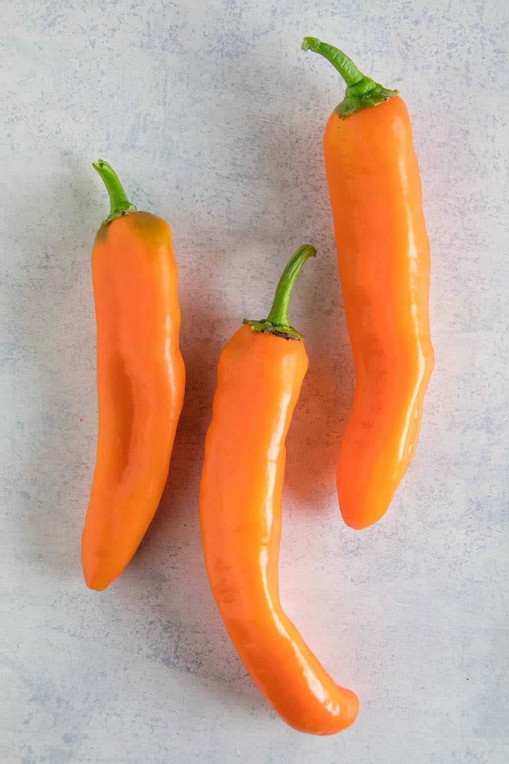 Corno di Toro Chili Peppers - Orange Variety