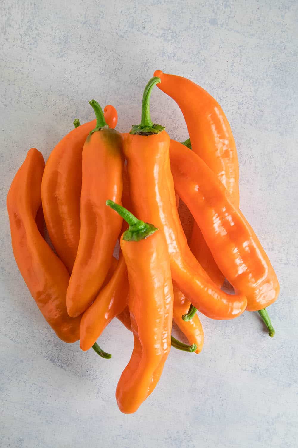 Corno di Toro Chili Peppers - Orange Variety