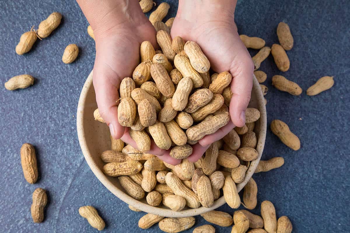 A handful of raw green peanuts