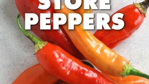 How to Store Peppers