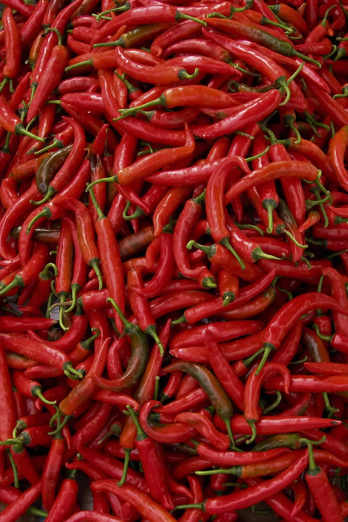 Thai Peppers