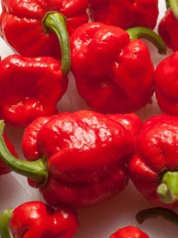 Trinidad Moruga Scorpion Peppers