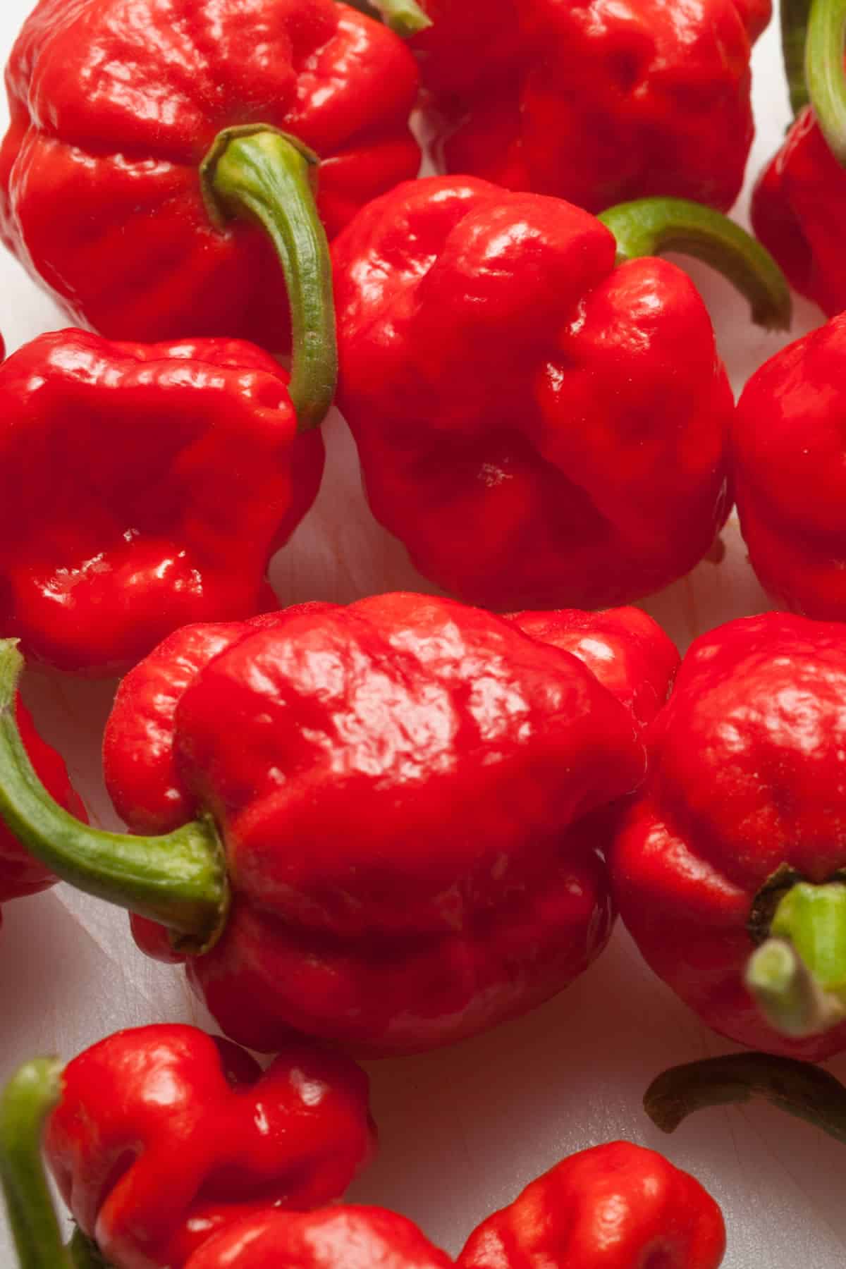 Scorpion Pepper Scoville Chart