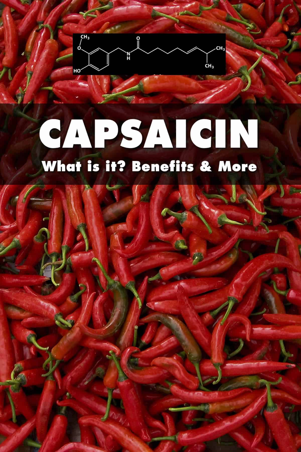 What is Capsaicin? Heat Level, Health Benefits and More - Chili Pepper  Madness