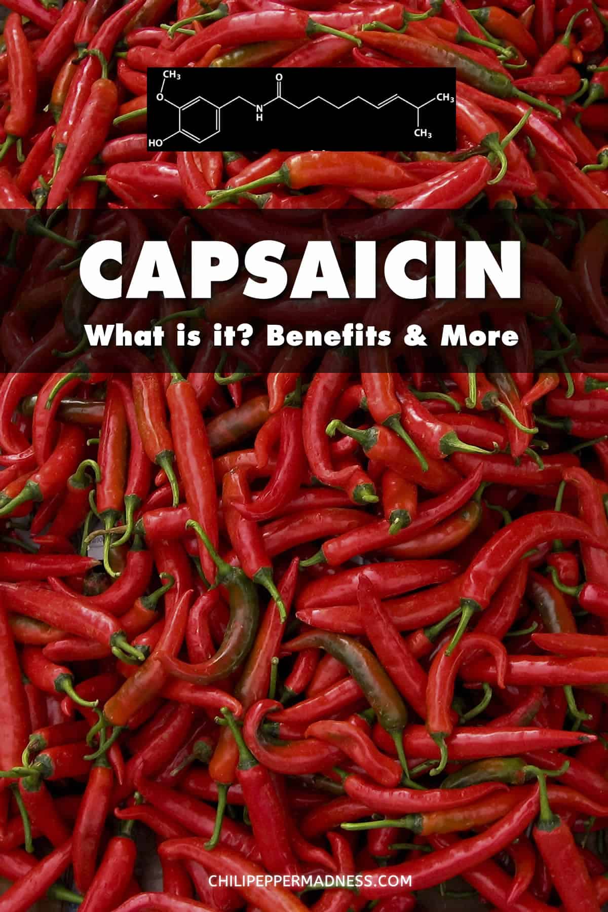What is Capsaicin? Heat Level, Health Benefits and More - Capsaicin is a chemical component of chili peppers that give them their spicy heat. Though widely popular for spicy food lovers, it also offers certain health benefits and pain relief. Learn more about capsaicin below.