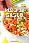 Pico de Gallo Recipe