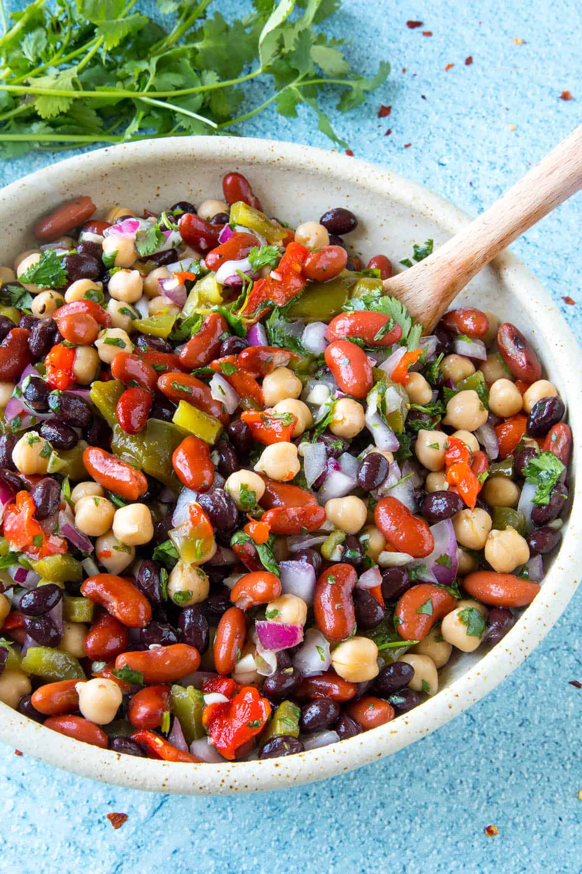 Mike's Zesty Three Bean Salad - Chili Pepper Madness