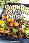 Carne Asada Fries Recipe