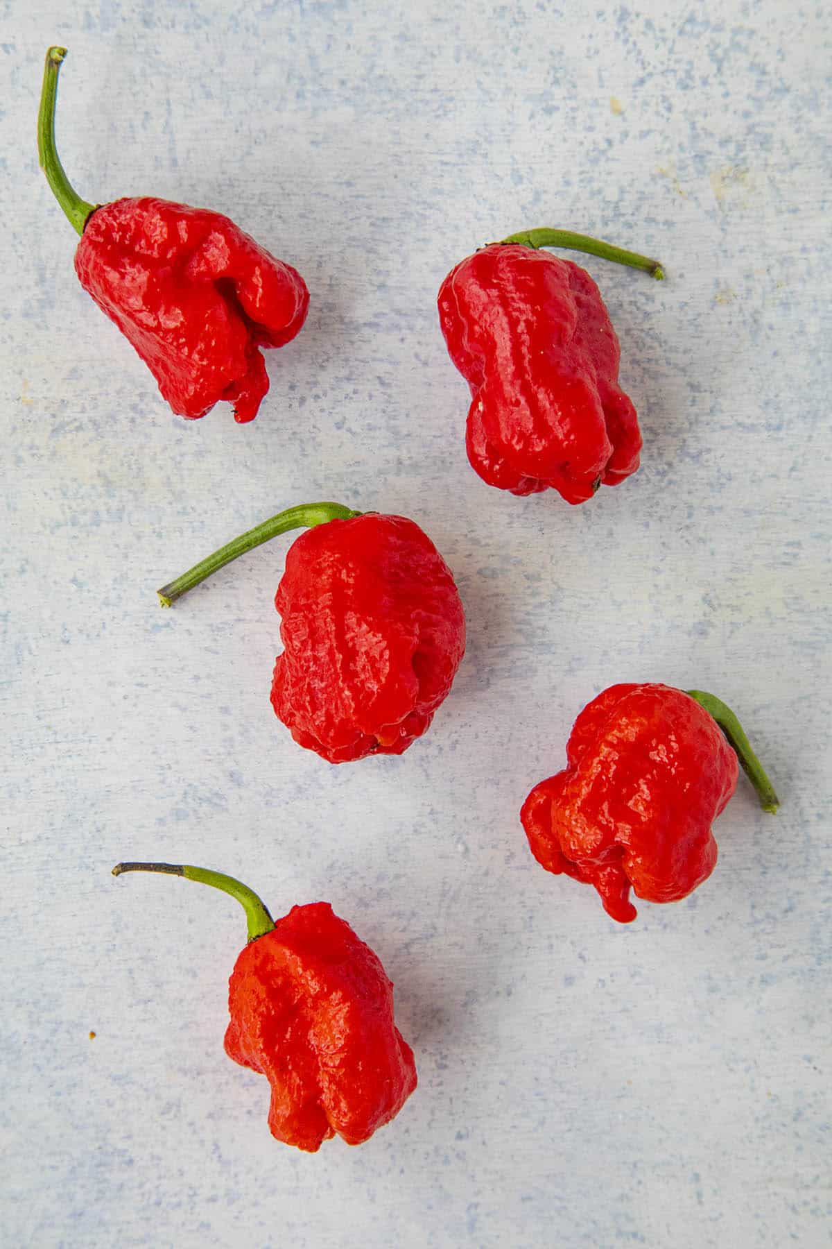 Carolina Reaper Peppers