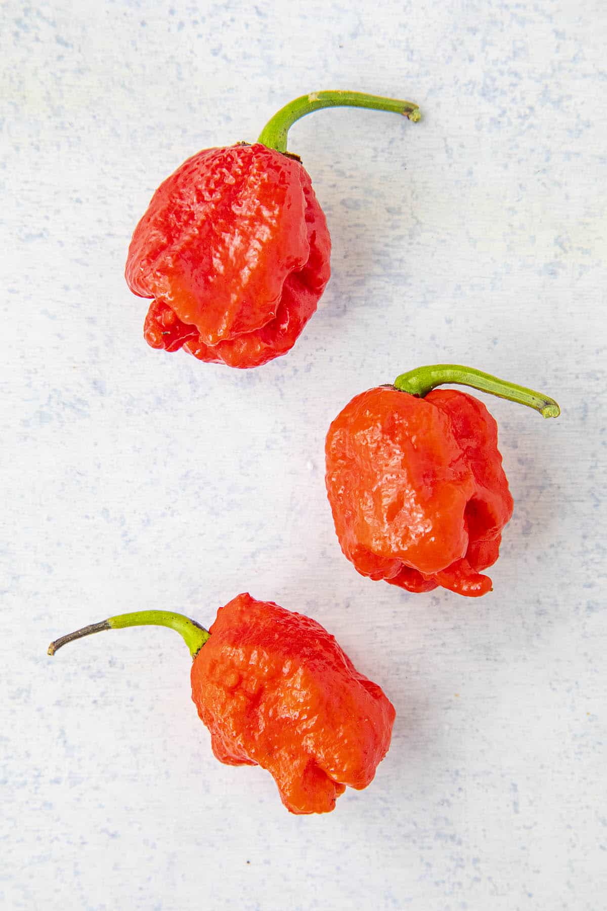 Carolina Reaper Peppers