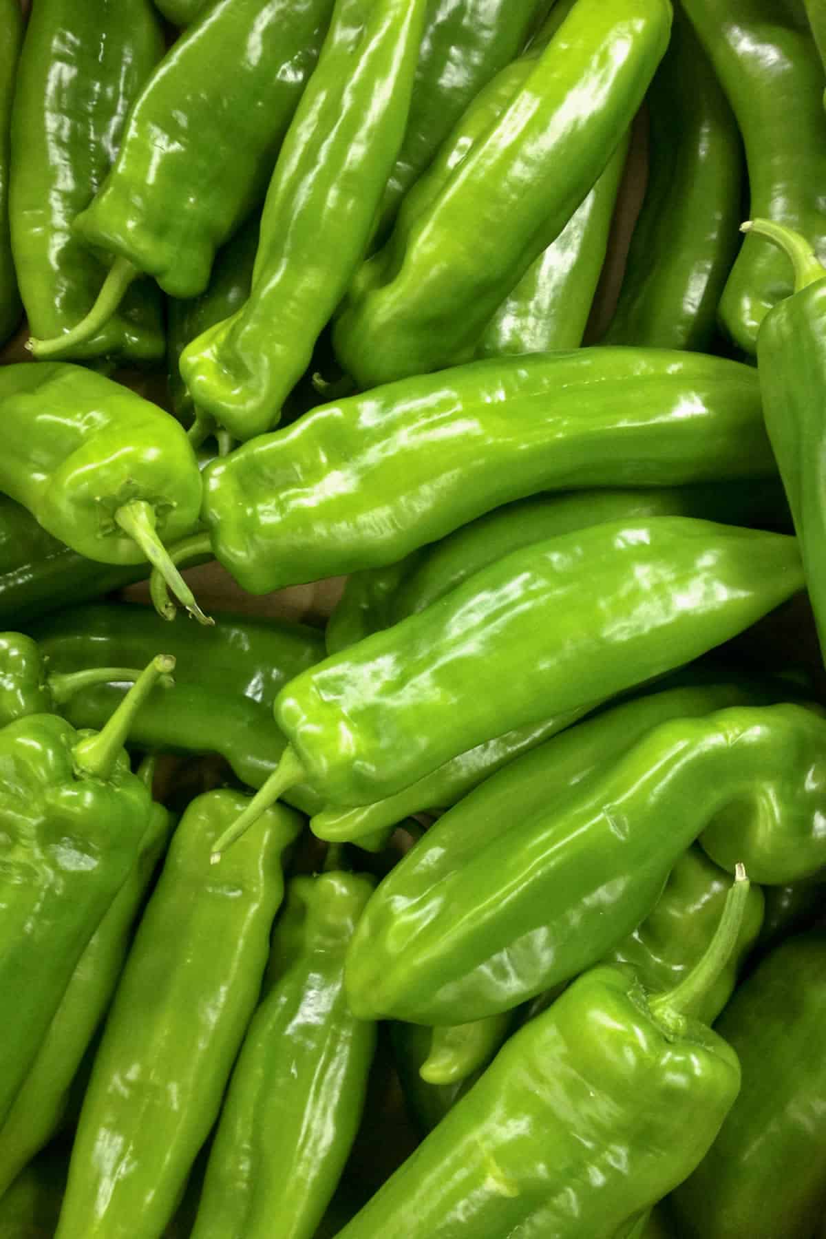 Cubanelle Pepper: All About Them