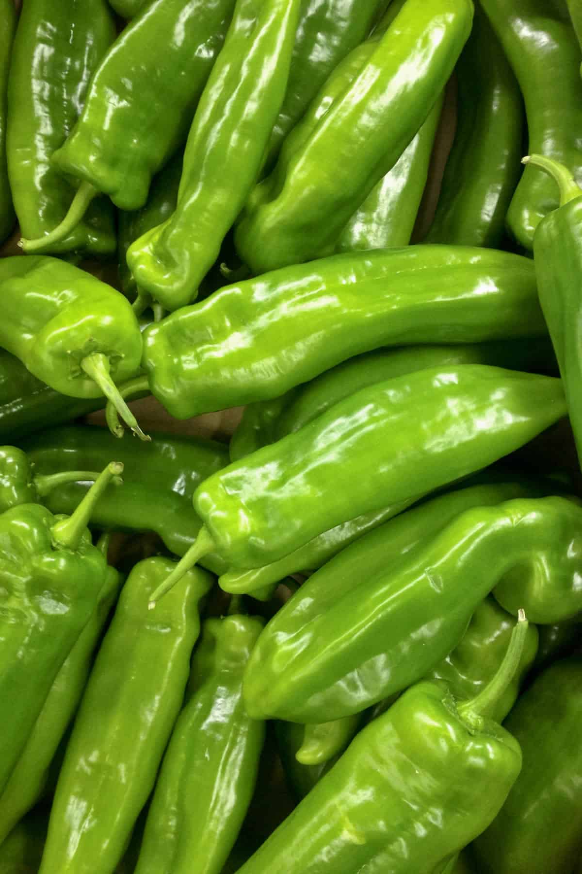 Green Pepper Identification Chart