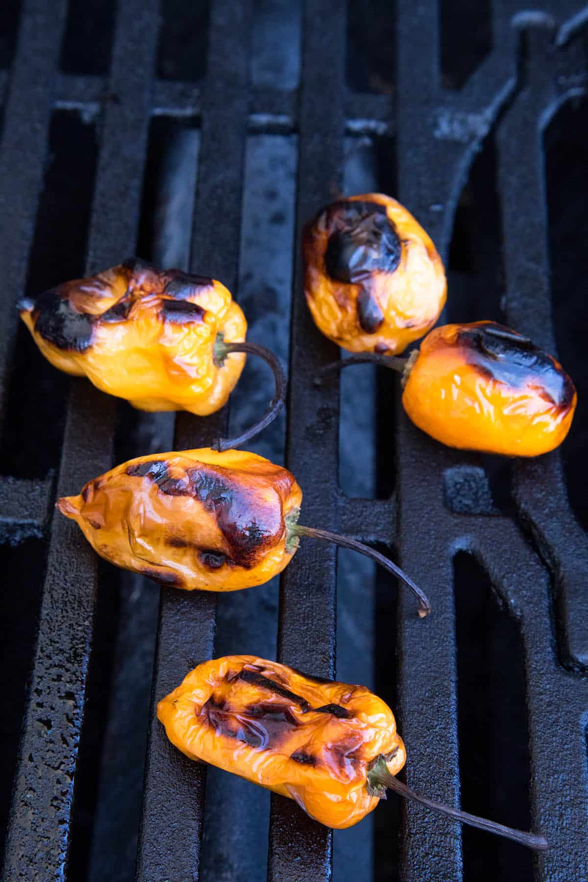 Charring habanero peppers on the grill