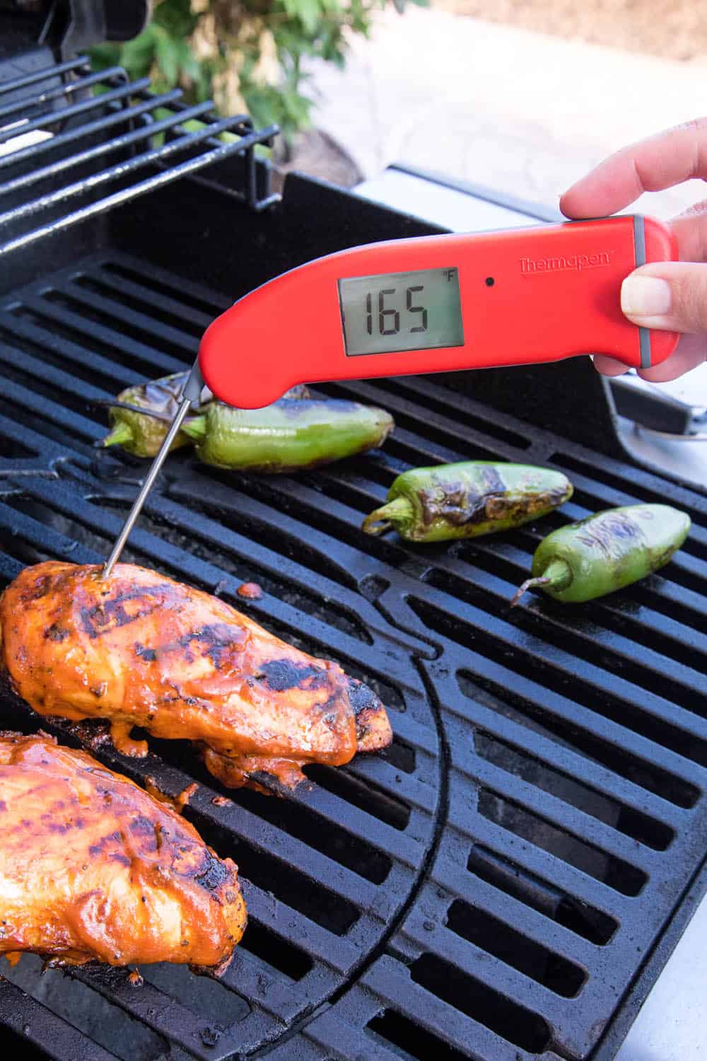 Checking the temperature of the chicken with my Thermapen - 165 degrees F internal.