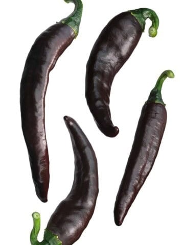 Brown Chilaca chile peppers