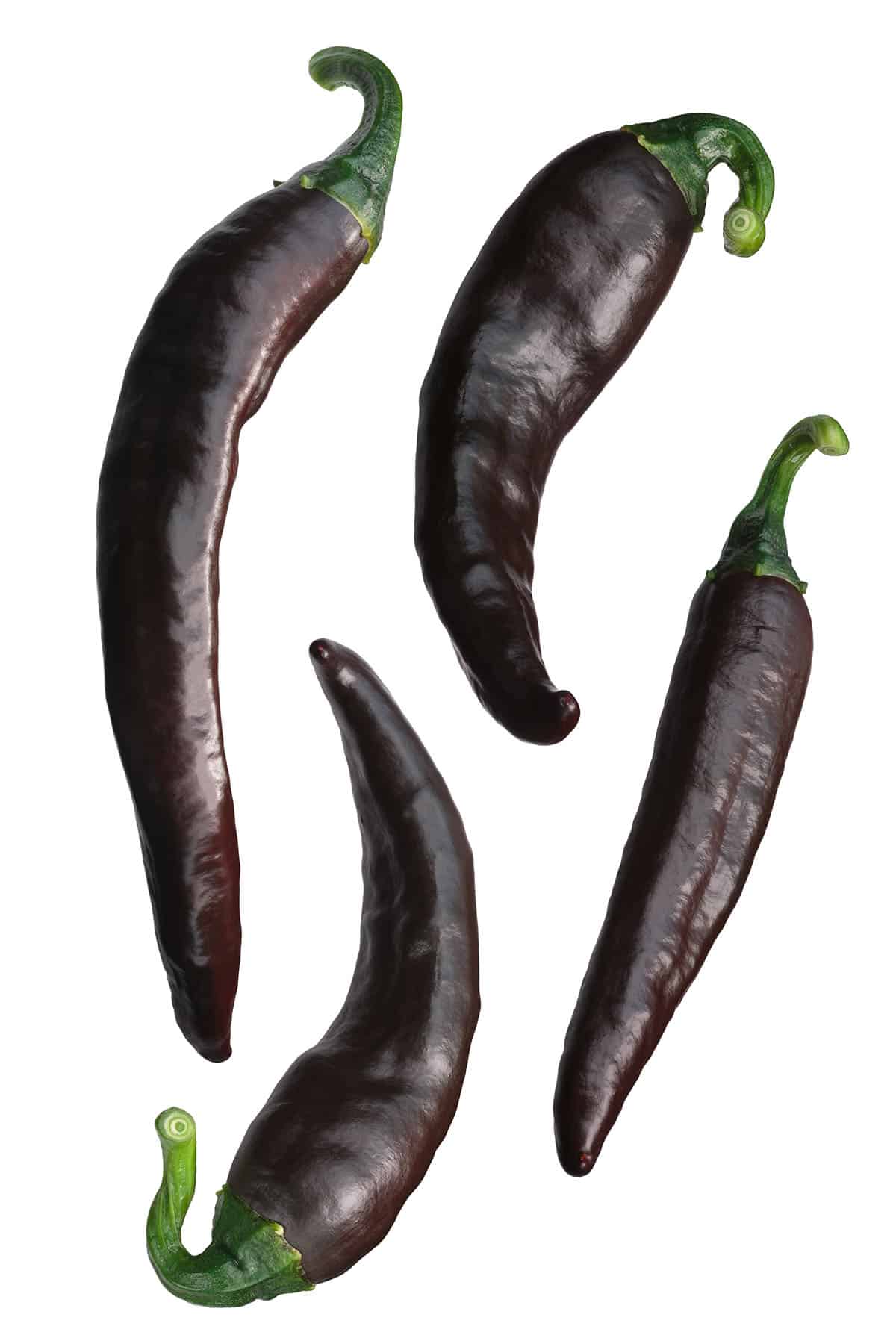 Brown Chilaca chile peppers