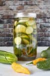 Refrigerator Pickles Recipe