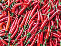 Medium-Hot Chili Pepper Types
