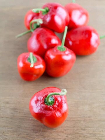 Rocoto Peppers