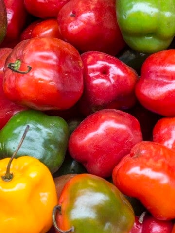 Rocoto Peppers