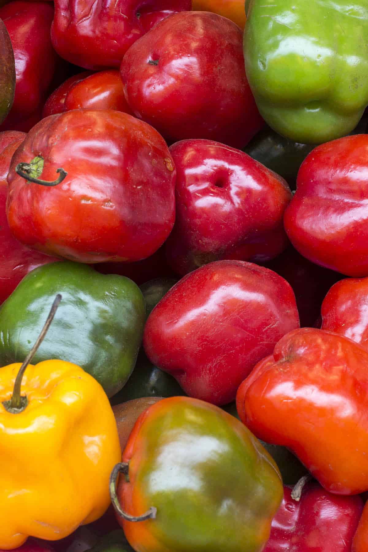 Rocoto Peppers