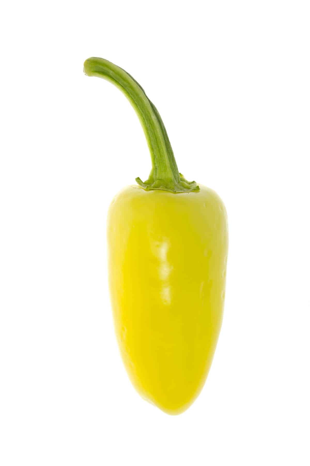 Santa Fe Grande Chili Peppers Chili Pepper Madness
