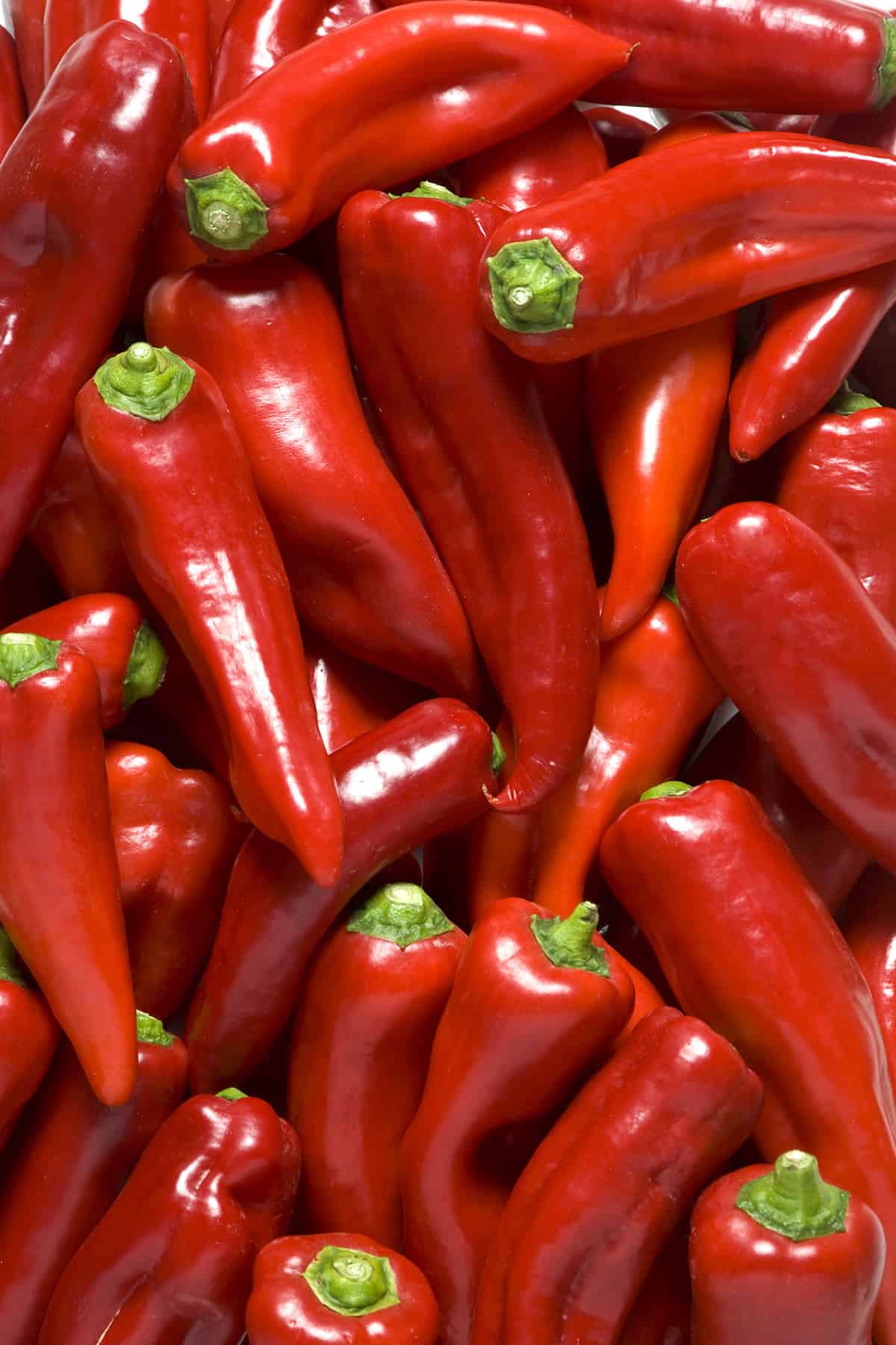 Paprika Peppers - Chili Pepper Madness