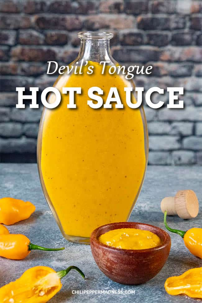 Devil\'s Tongue Hot Sauce Recipe - This hot sauce recipe is made with fiery devil\'s tongue peppers, lots of garlic, ginger, turmeric and honey for a touch of sweet. Let\'s make hot sauce! #HotSauce #HotPeppers