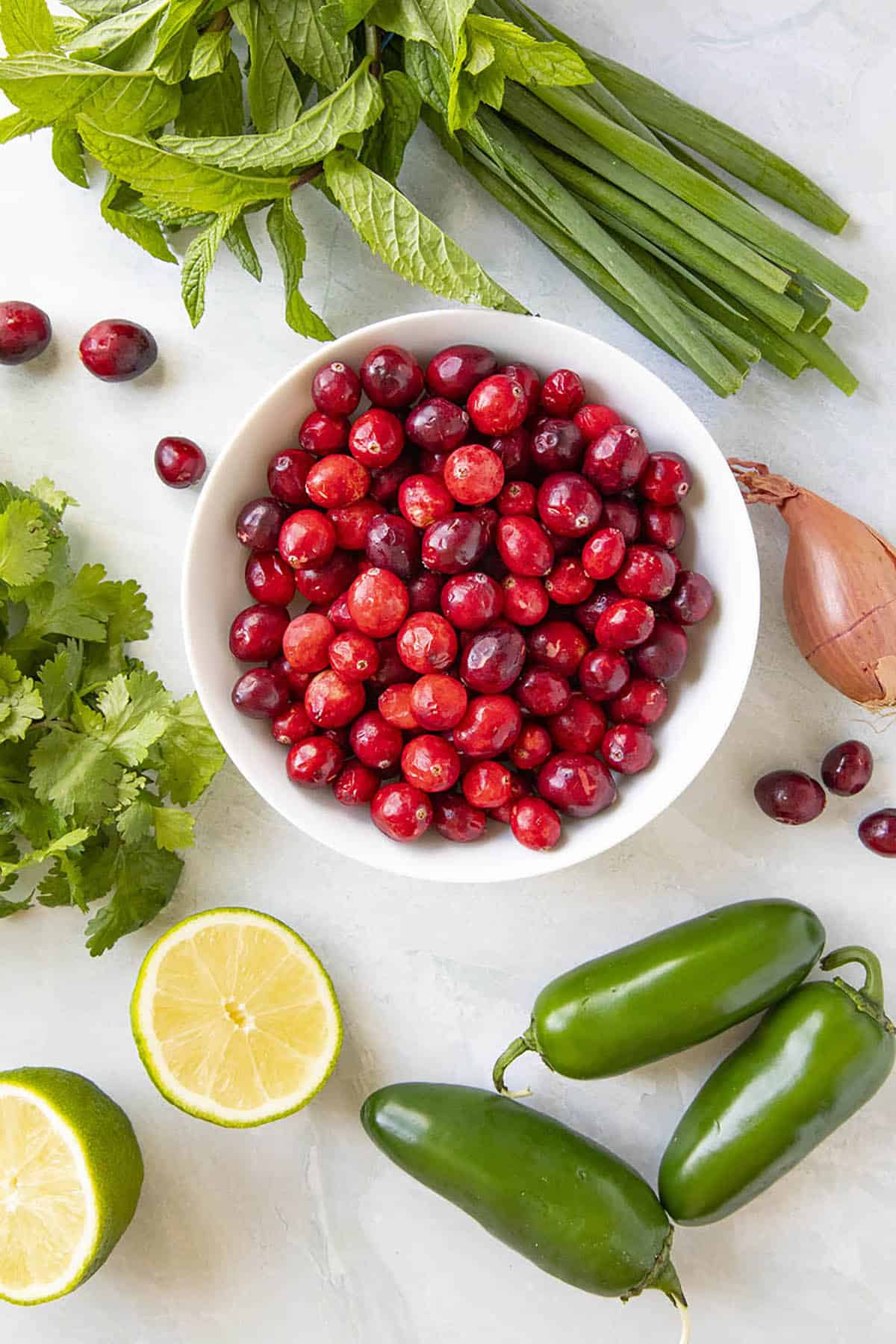 The ingredients for my Fresh Cranberry Salsa Recipe