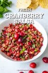 Fresh Cranberry Salsa Recipe