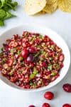 Fresh Cranberry Salsa Recipe
