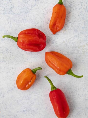 Aji Dulce Chili Peppers