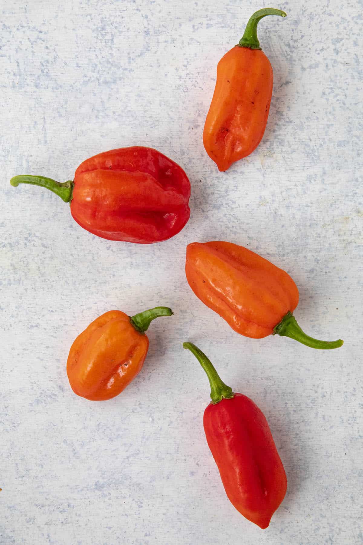 Mexican Chiles Chart