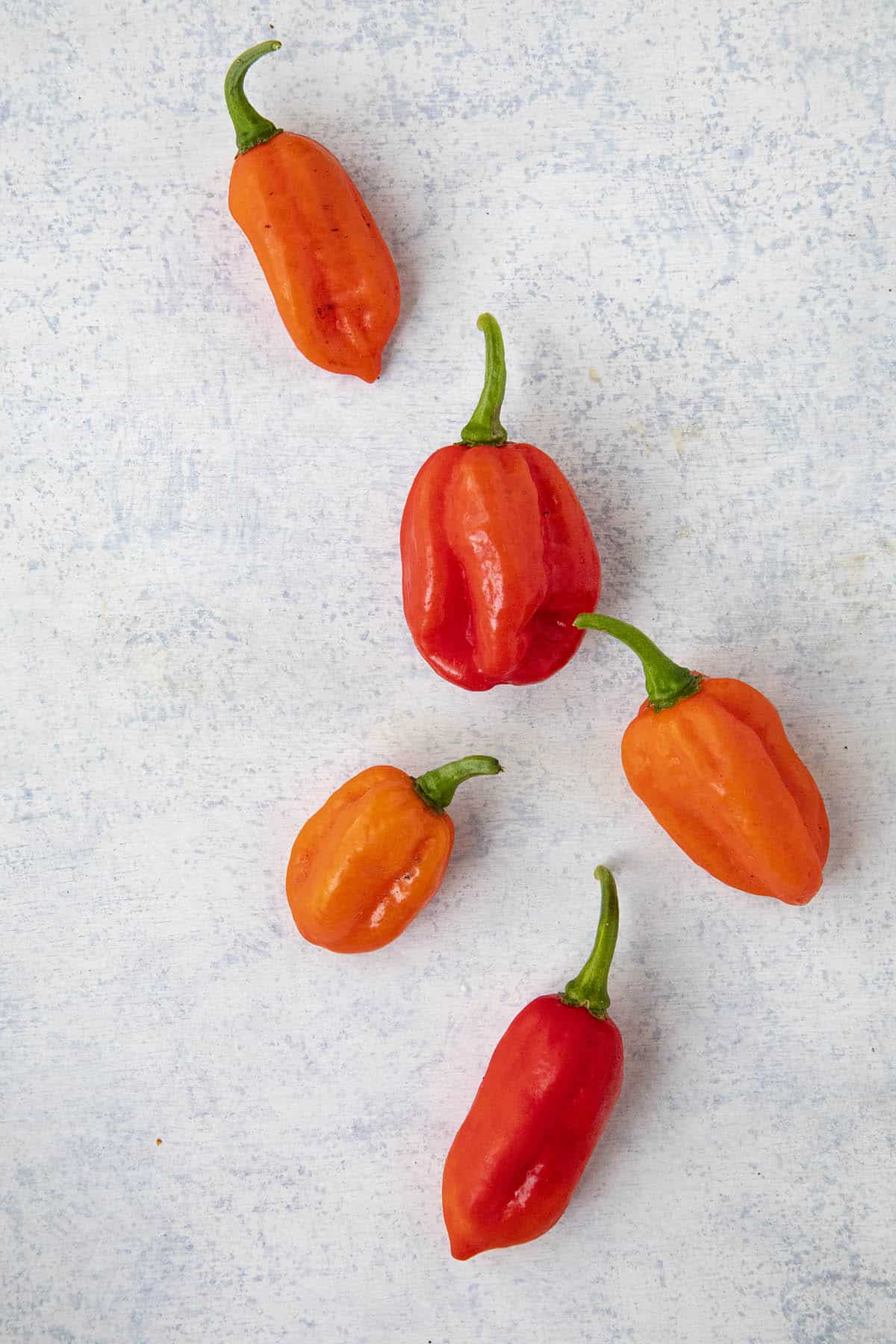 Aji Dulce Chili Peppers