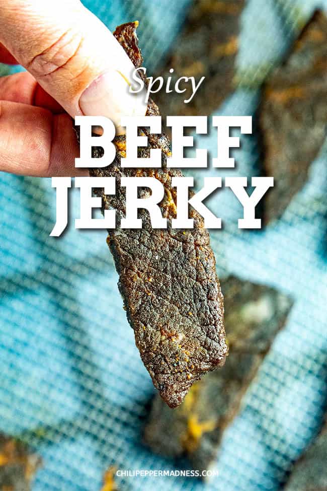 Spicy Beef Jerky Recipe - My spicy beef jerky recipe brings it to a whole new level with an extra spicy marinade. Learn how to make beef jerky at home with a dehydrator from the author of \