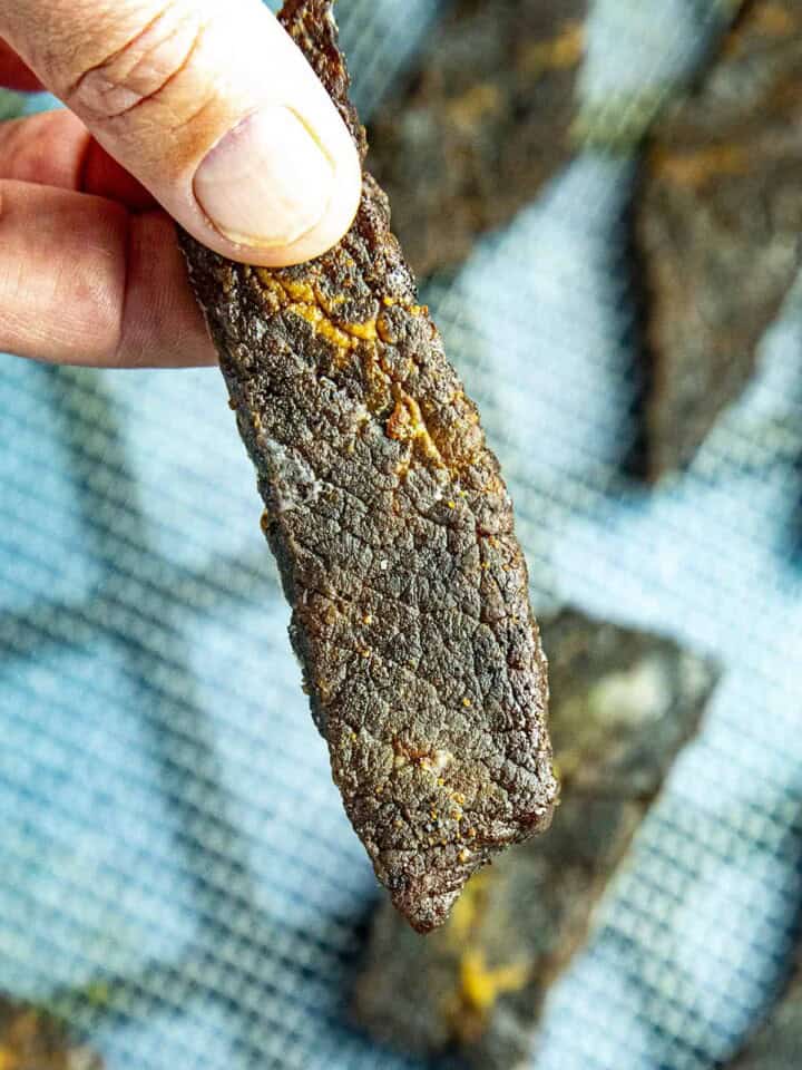 Holding one of the Spicy Beef Jerky