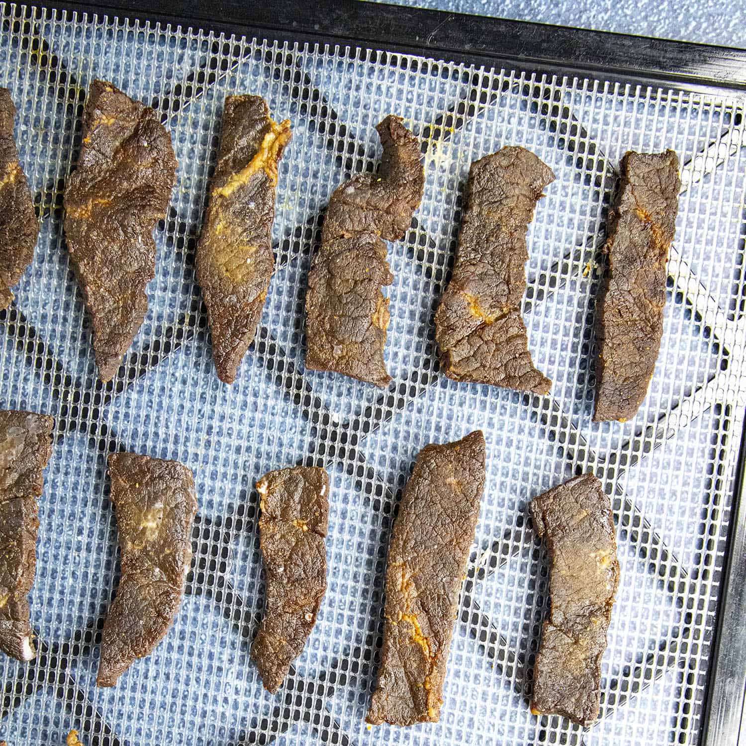 3 Easy Dehydrator Jerky Recipes that Will Have Them Asking for More, Recipe