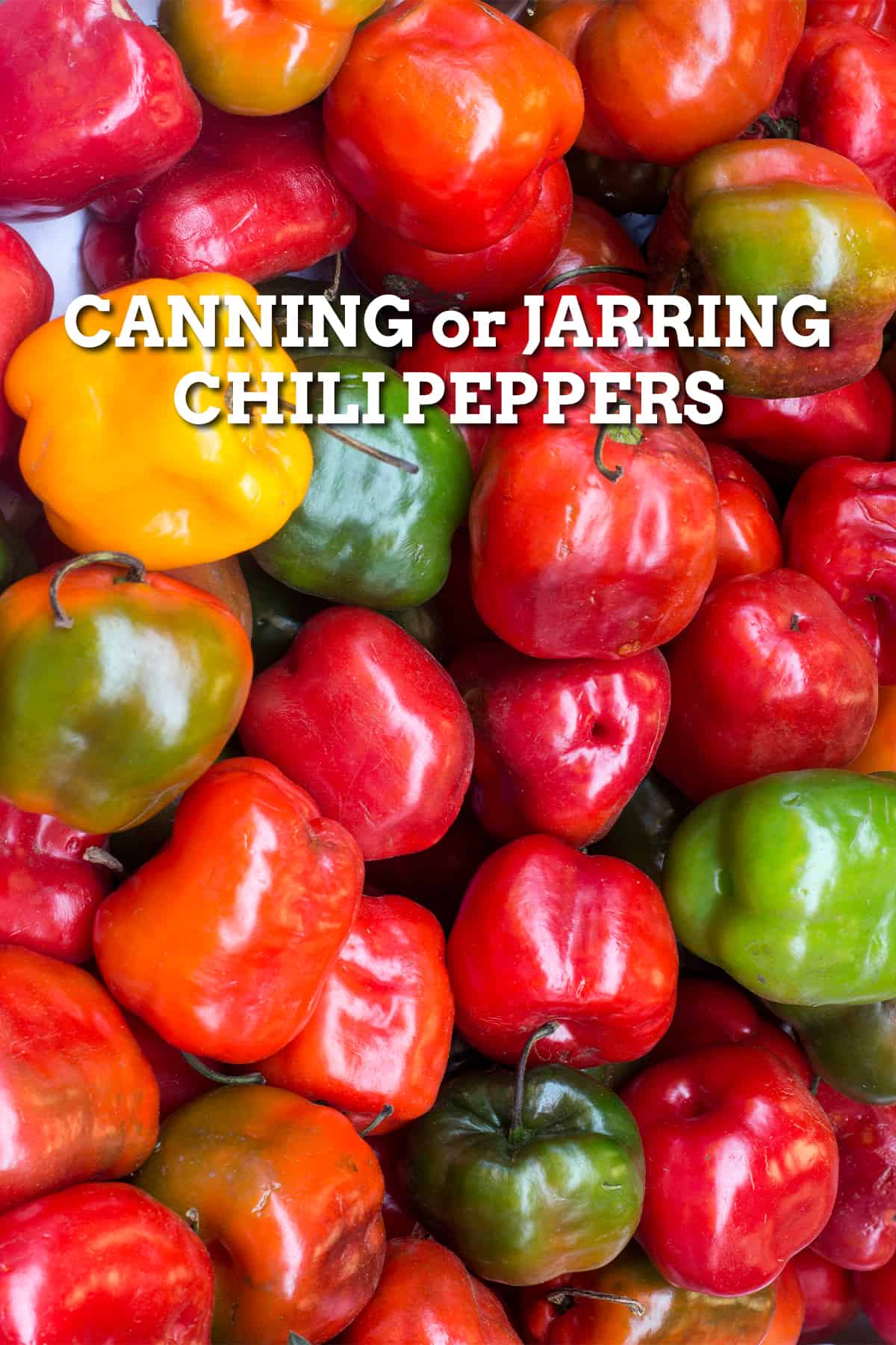 Canning Or Jarring Chili Peppers Chili Pepper Madness