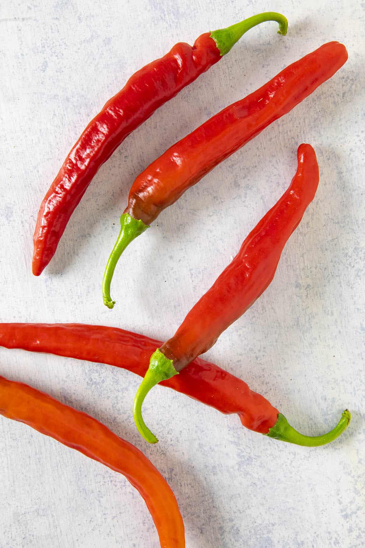 Cayenne Carolina Hot Chili Peppers