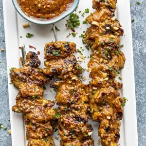 Easy Thai Chicken Satay Recipe