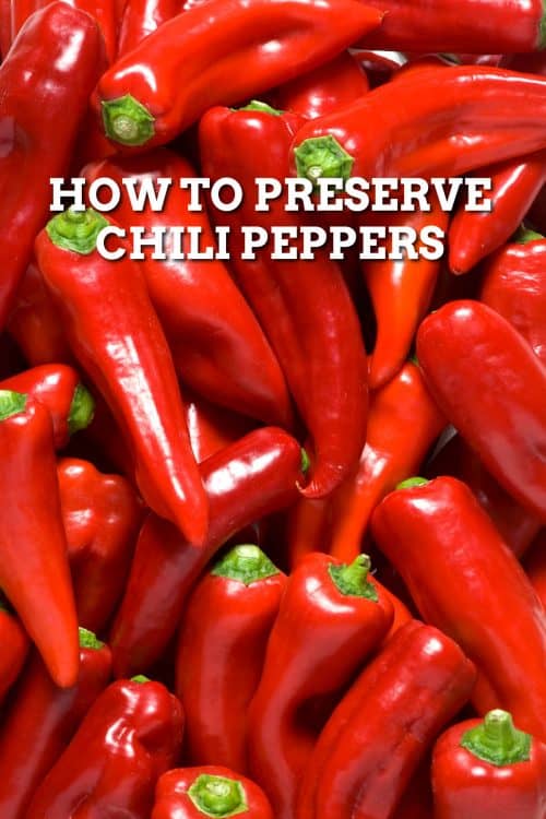 How to Preserve Chili Peppers Chili Pepper Madness