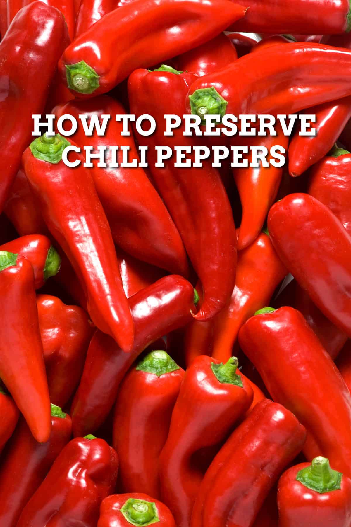 How to Preserve Chili Peppers