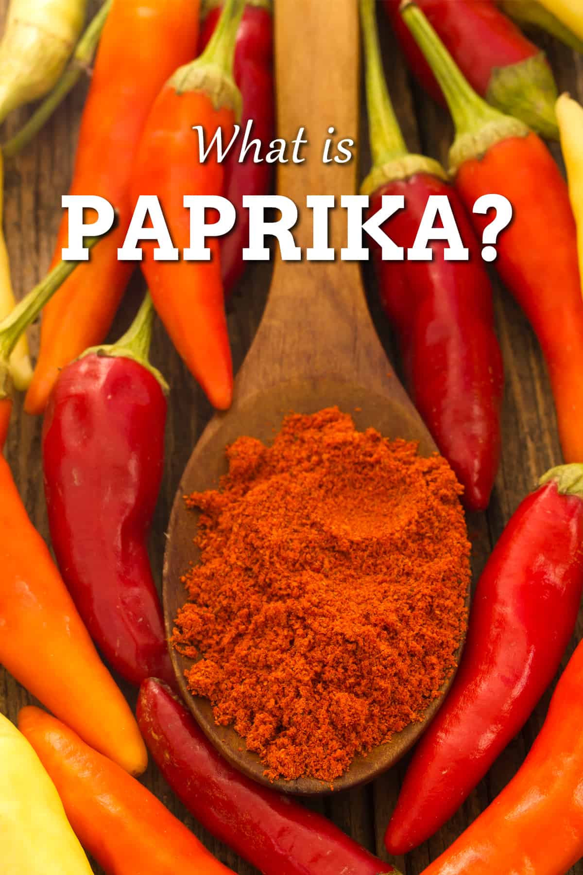 Paprika: a Popular Chili Powder - Chili Pepper Madness